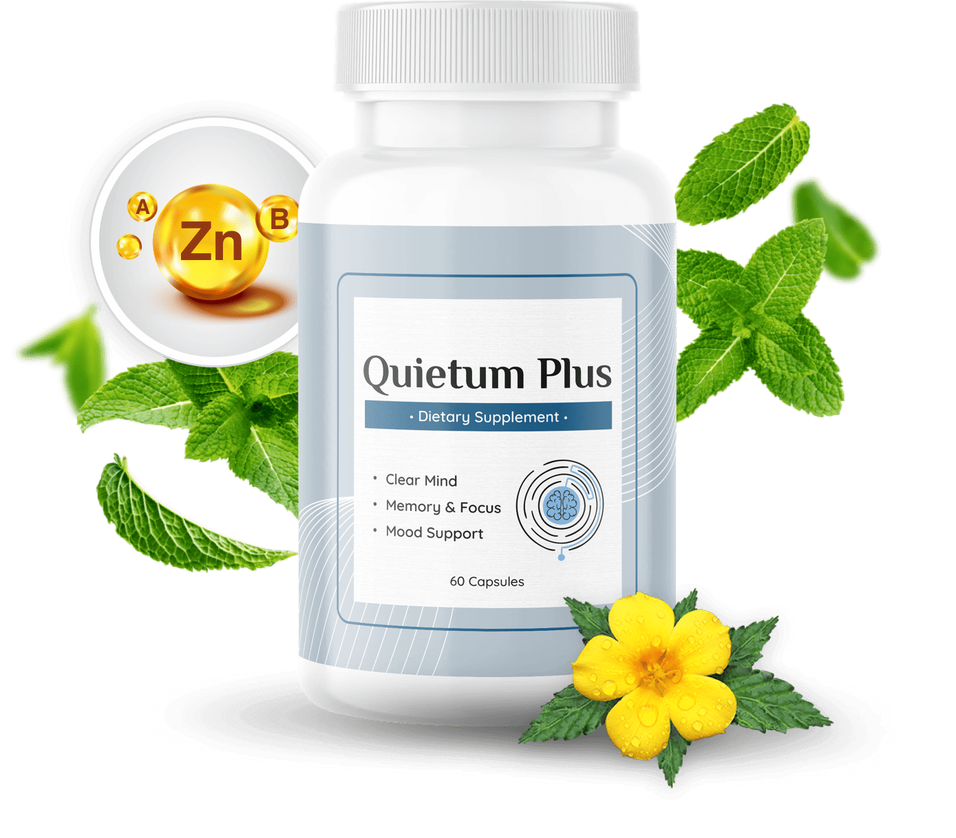 Quietum Plus Hearing Support Supplement