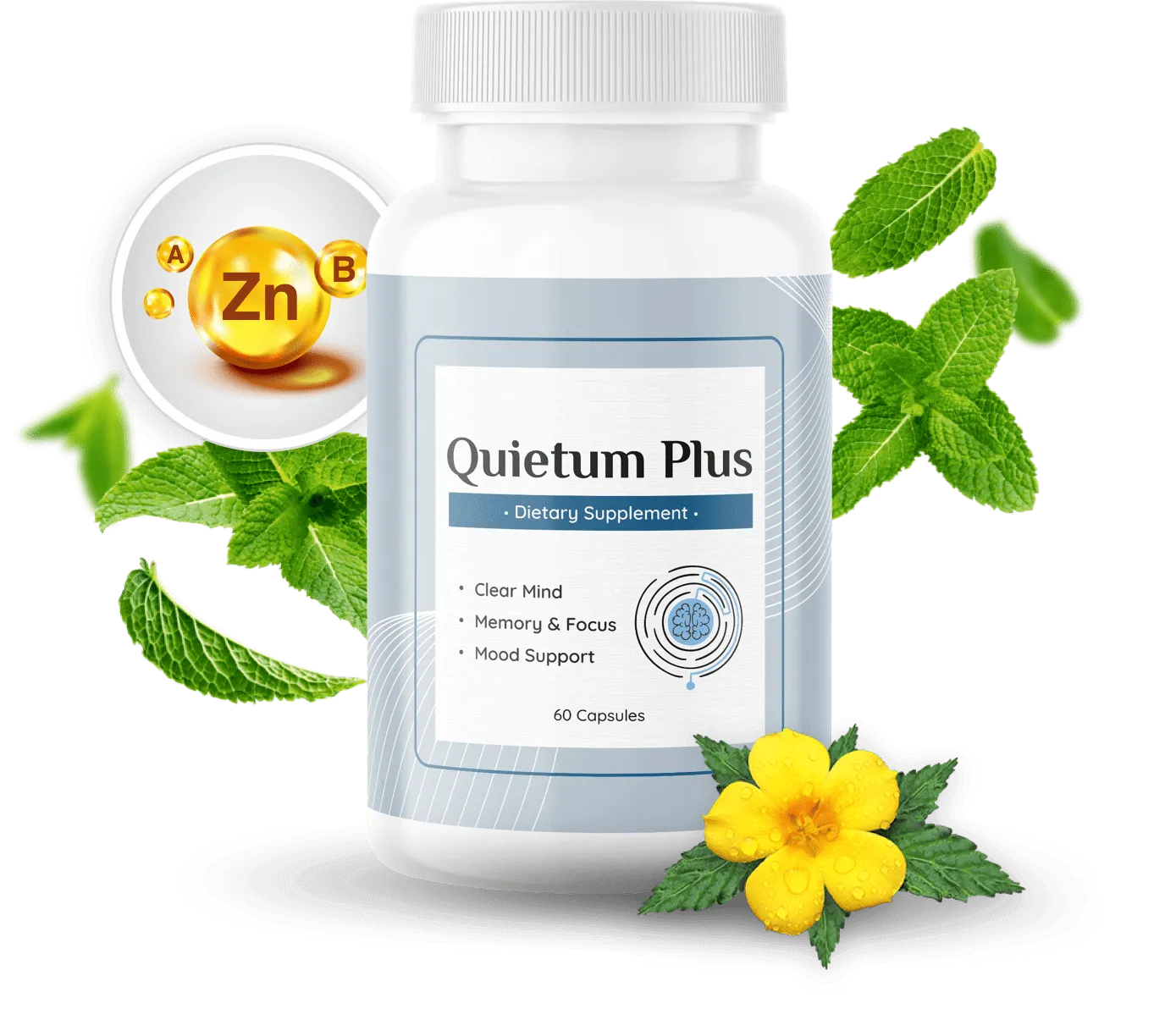 Quietum Plus Hearing Support Supplement
